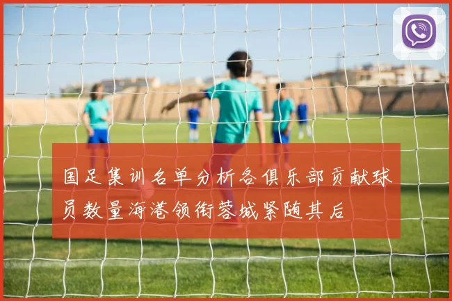 国足集训名单分析各俱乐部贡献球员数量海港领衔蓉城紧随其后